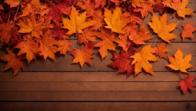 写真 オレンジ色の秋のメープルボーダー背景