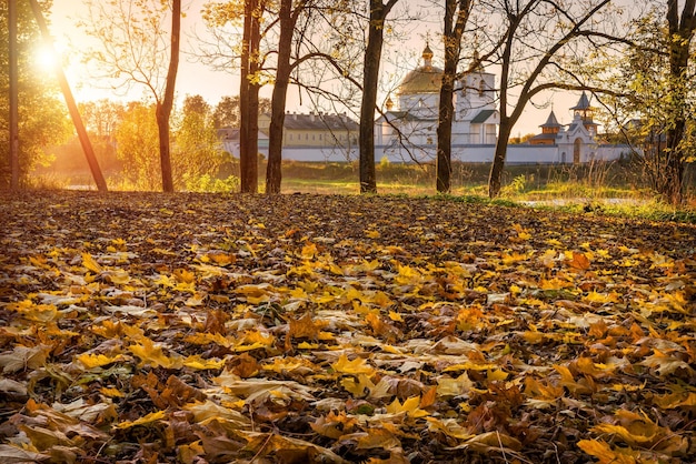 Maple gele bladeren op de grond en een tempel aan de oever van de rivier in Ostrov in Pskov