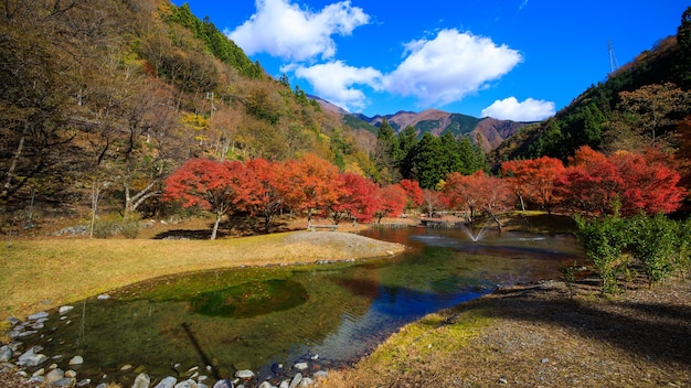 Maple herfstbladeren seizoen in het Japanse rivierpark en berg met blauwe hemelachtergrond