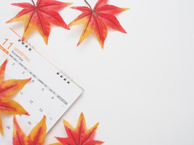 Maple leaf on the calendar top view copy space white autumn concept