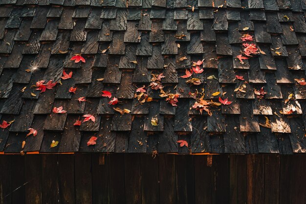 Foto foglia di acero cade sul tetto di legno