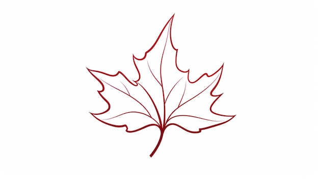 Maple leaf line art