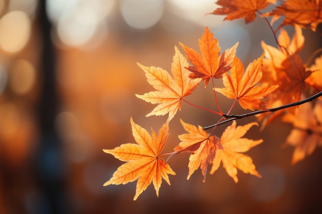 Maple leaf with Autumn background with orange Generative with Ai