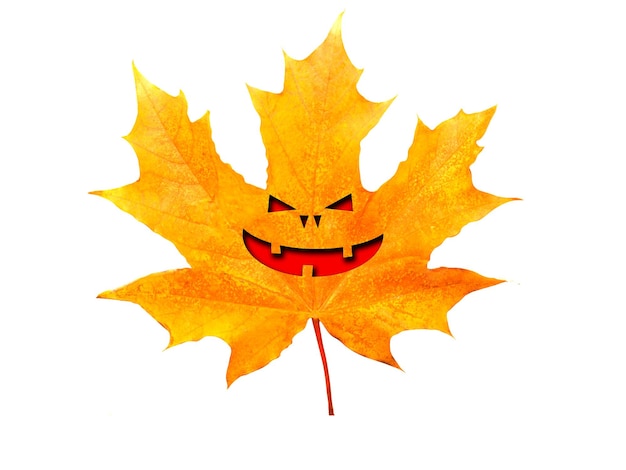 Maple leaf with halloween face isolated on white background