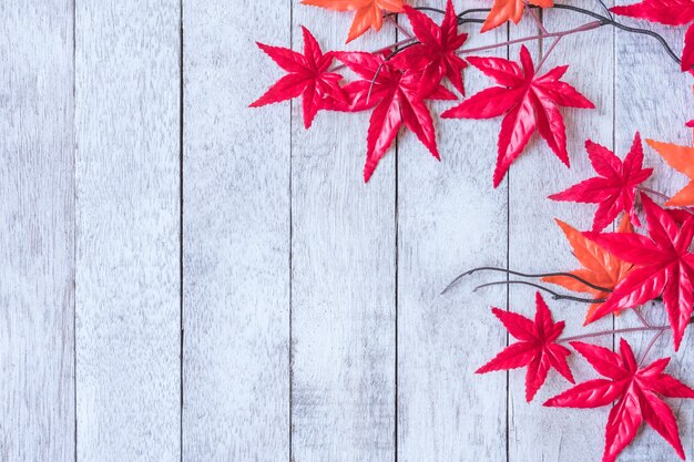 Photo maple leaves on white painted wood plank background