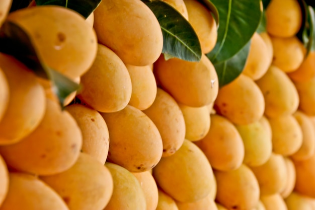 Maprang : tropical fruit in Thailand 