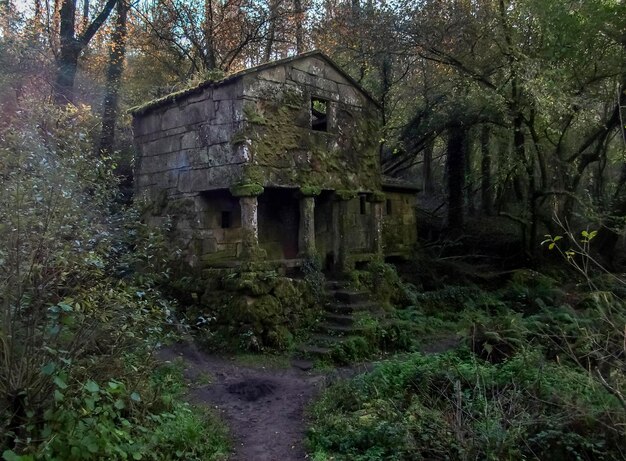 Maquias molenhuis in Zamans Vigo Galicia Spanje