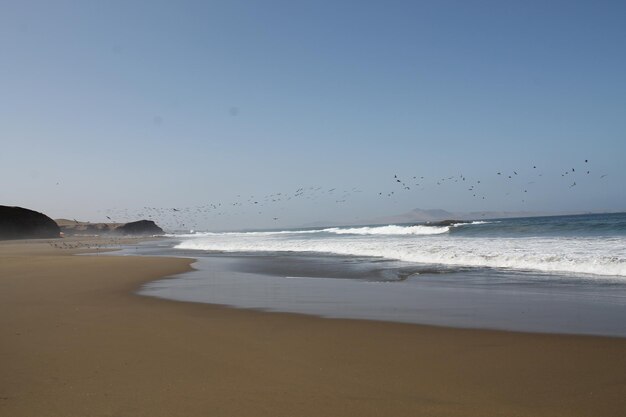 mar sea vacation blue sky beach