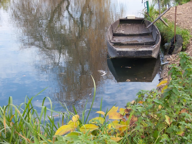 Foto maraisbourgescherberryfrance