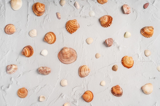 Marble background with sea seashells . Vacation pattern