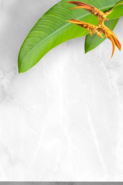 Marble floor is decorated with leaves and flowers of Heliconia