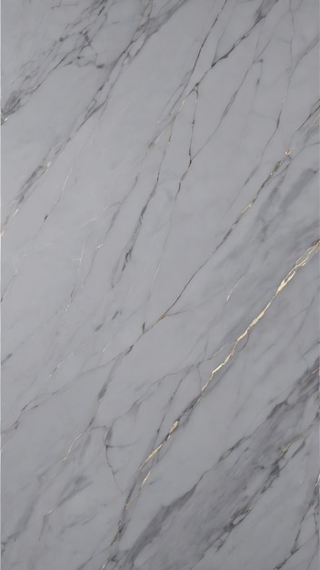 Marble gray marquina