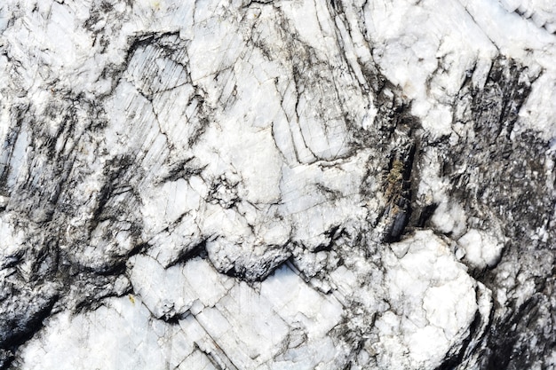 Marble Mineral texture. Untreated stone.