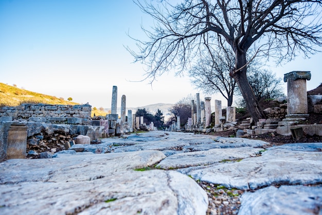 Фото Мраморная дорога и колонны в древнем городе эфес