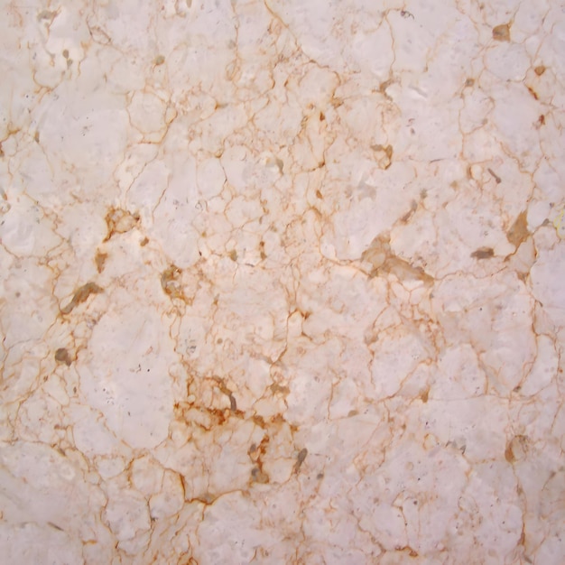 Marble Rosalia