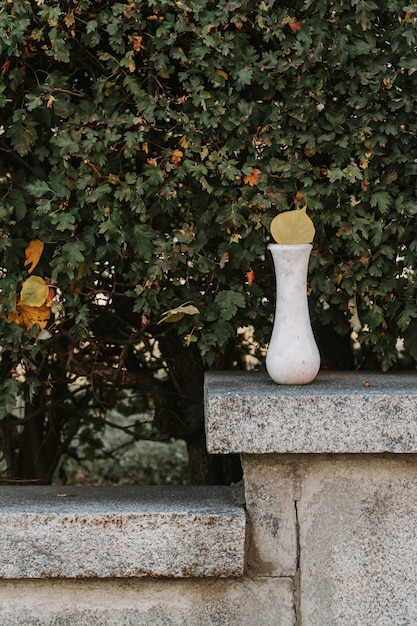 Marble vase on stone bench