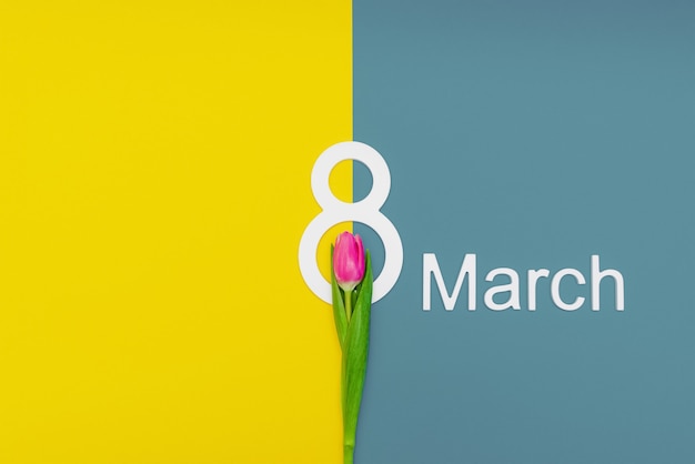 8 марта, поздравления, международный женский день. цветы на красочном фоне, место для текста. Подходит для рекламы, открыток, поздравлений. Копировать пространство