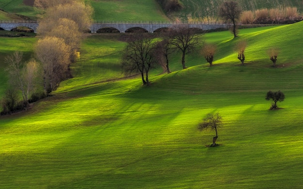 Foto marche countryside- green time