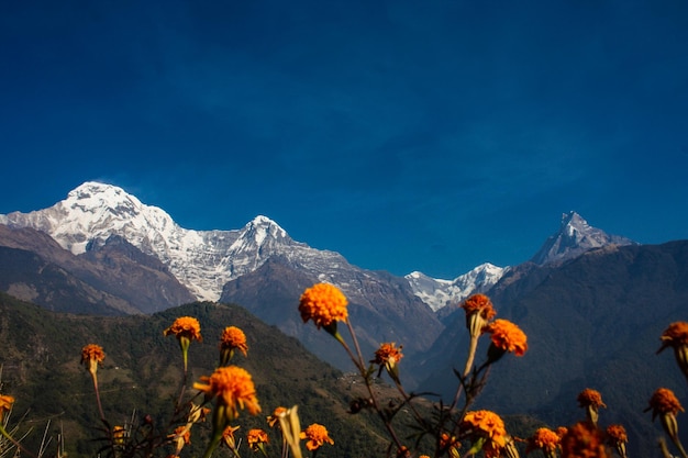 Mardi Himal, Mt. Machhapuchhare, Annapurna berg gezien tijdens Annapurna Base Camp Trekking Nepal