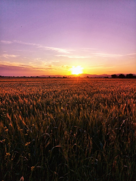 Foto maremma toscana