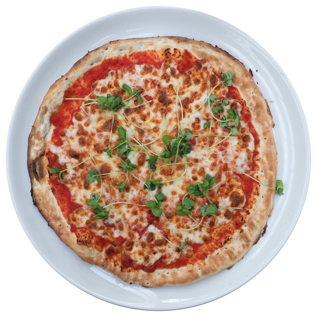Маргарита пицца, запеченная еда, изолированные на белом фоне