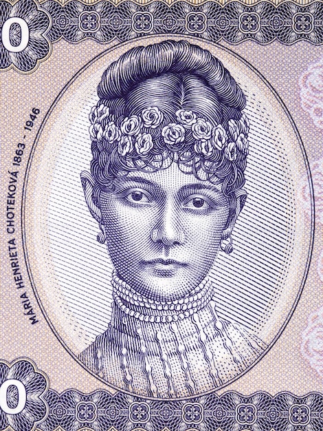 Maria henrietta chotekova een portret van geld