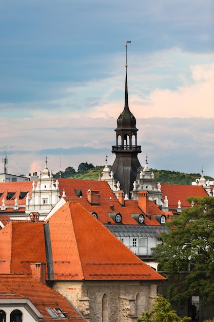 Maribor Slovenia roofscape