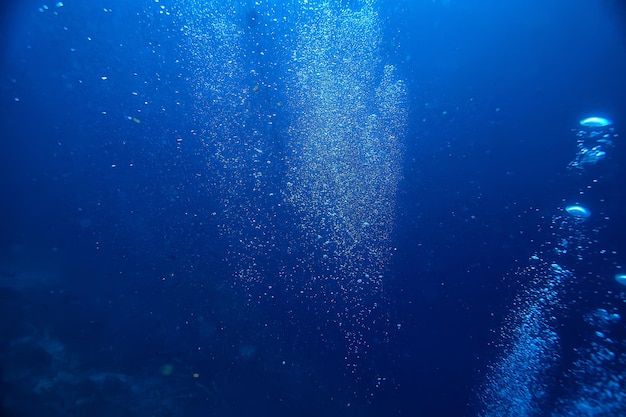 Mariene ecosysteem onderwater weergave / blauwe oceaan wilde natuur in de zee, abstracte achtergrond