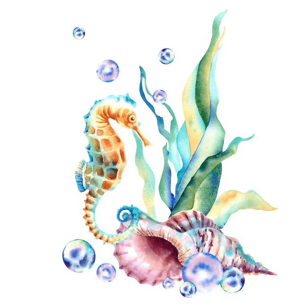 Foto mariene samenstelling seahorse zeeschelp zeewier bubbels en parels aquarel illustratie