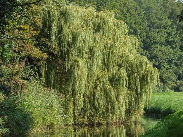 Photo marienthakl at the issel river