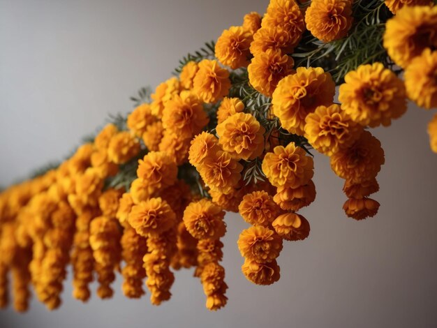 Foto marigold bloem krans voor festival achtergrond
