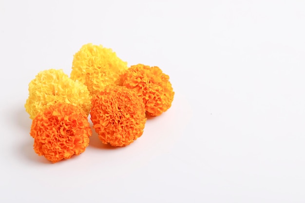 Marigold Flower for dasara Festival Indian Festival flower decoration