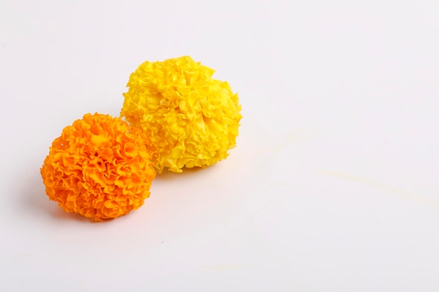 Marigold Flower for dasara Festival Indian Festival flower decoration