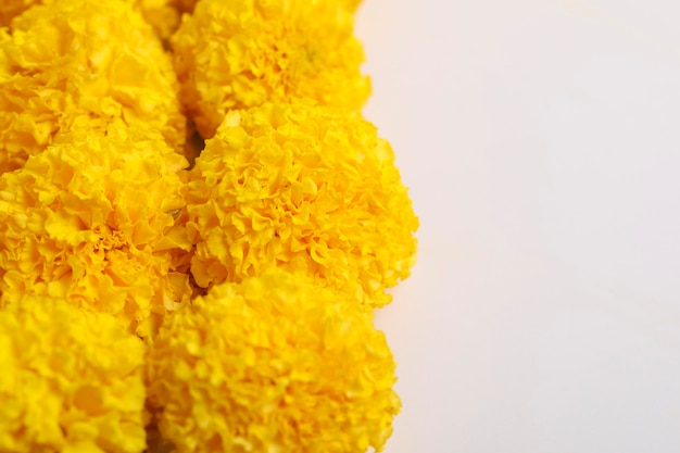 Marigold Flower for dasara Festival Indian Festival flower decoration