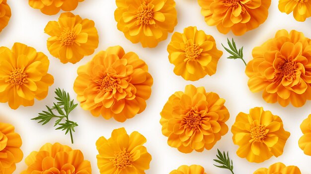 Marigold flower pattern background Flower background texture