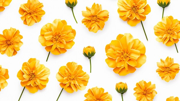 Marigold flower pattern background Flower background texture