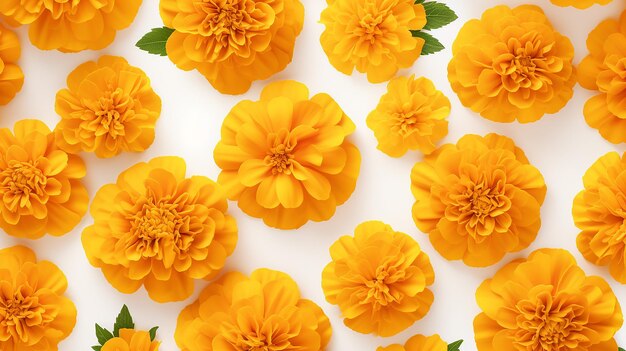 Marigold flower pattern background flower background texture
