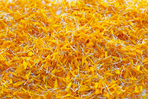 Marigold flower petals on white.