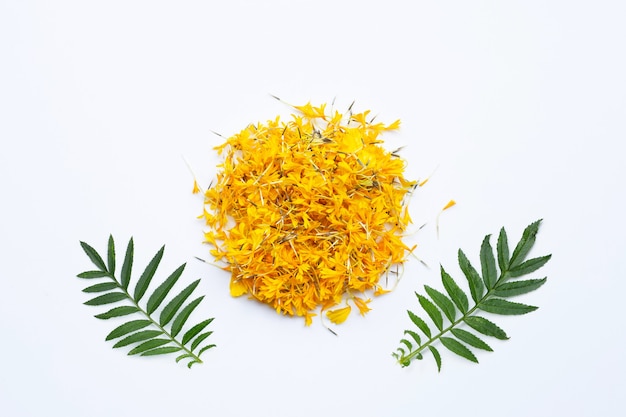 Marigold flower petals with leaves on white background.