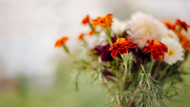 Marigold flowers bouquet at blurred backfround