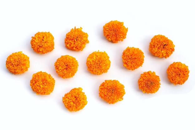 Marigold flowers on white background