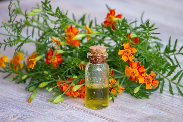 Marigold oil essential oils. Selective focus