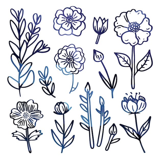 Marigold vlakke vector lineaire set illustratie van hoge kwaliteit