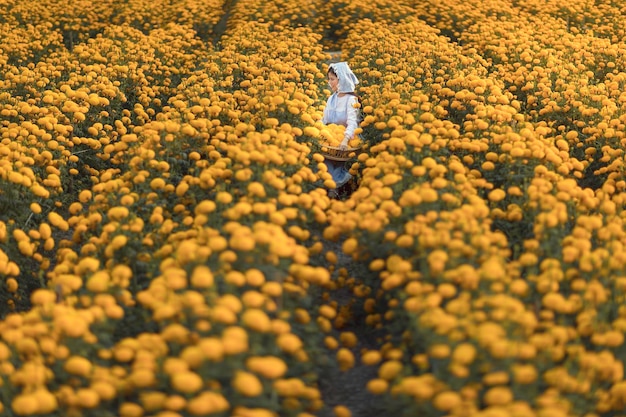 Marigold Yellow flower and the artist girl