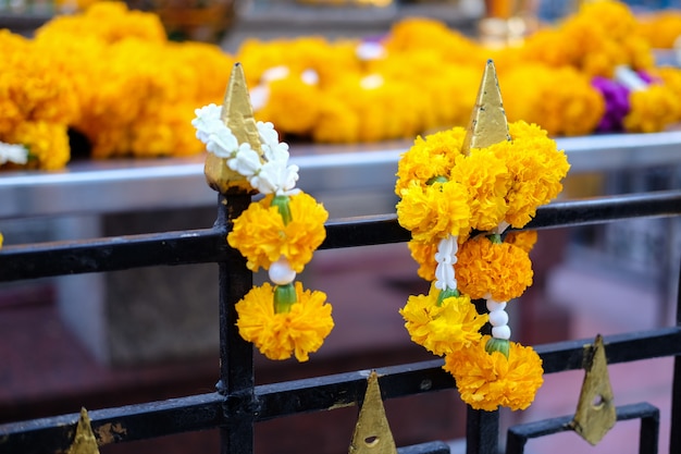 Marigolds flowers at the Erawan Shrine. Thao Maha Phrom Shrine is a Hindu shrine in Bangko