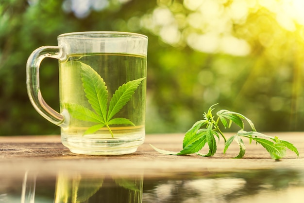 Marihuanathee Hennepthee Cannabisthee in glas Theekopje met een marihuanablad en stengel met bloemen en bladeren op houten tafel tegen de achtergrond van een zomertuin