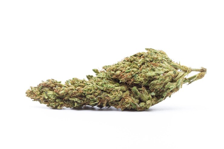Foto marijuana bloem geïsoleerd op witte achtergrond