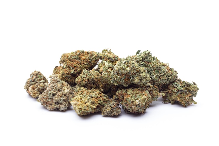 Foto marijuana bloemen geïsoleerd op witte achtergrond