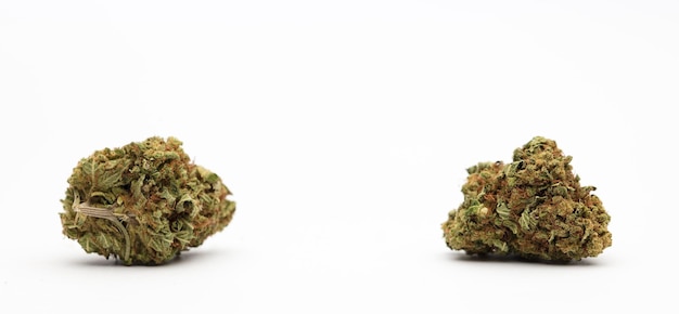 marijuana buds with central space for text white background