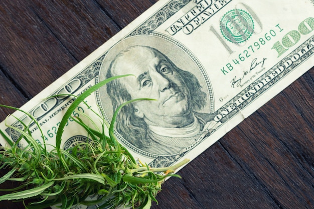 Foto fiore di marijuana su una banconota da cento dollari